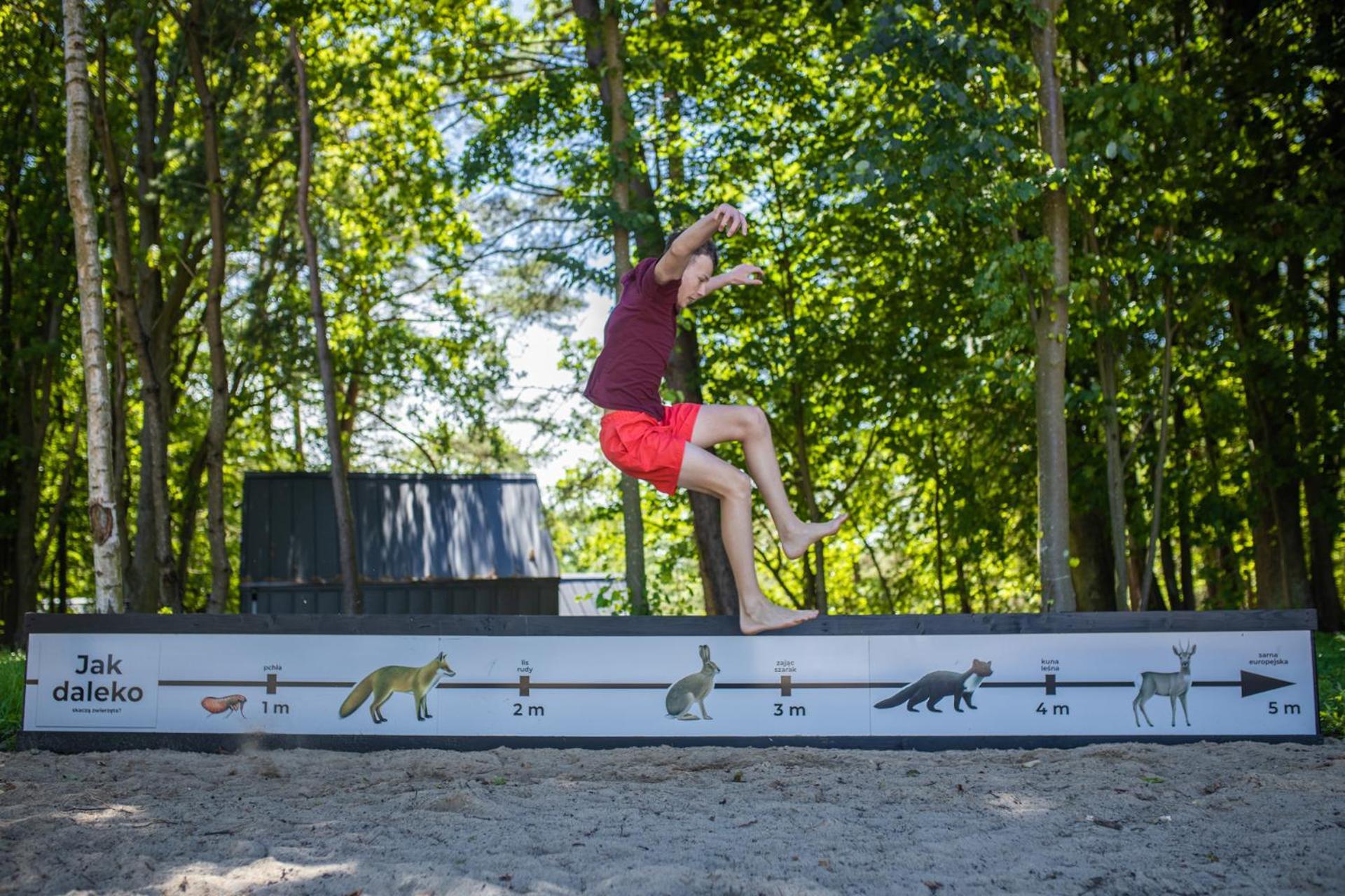 Narusa Lesna Przystan Frombork Exteriör bild
